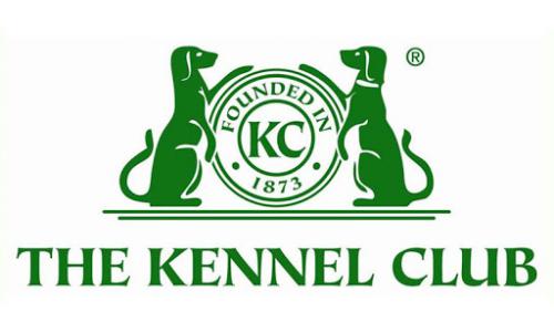 Стандарт Кеннел Клуба Великобритан (The Kennel Club)